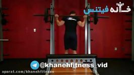 One Leg Barbell Squat Exercise Guide and Video new