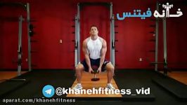 Plie Dumbbell Squat Exercise Guide and Video new