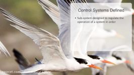 Complex Adaptive Systems 5 Regulatory Systems