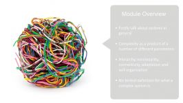 Complex Adaptive Systems 2 Complex Systems