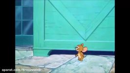 Tom And Jerry English Episodes  Neapolitan Mouse  Cartoons For Kids