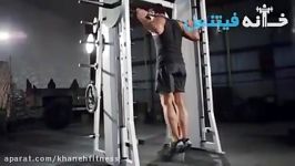 Smith Machine Calf Raise Exercise Guide and Video new