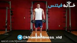 Standing Dumbbell Calf Raise Exercise Guide and Video new