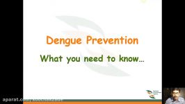 Dengue Fever Awareness video Symptoms and Prevention