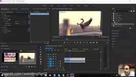 96 ساخت Frame hold در Adobe premiere  آموزش پریمیر سعید طوفانی