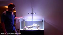 A 3 week old marine tank and Zeolite explained