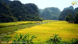 Tour Vietnam هشت روز در هانوی ساپا، شمال سرسبز ویتنام