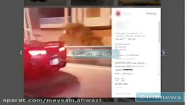 گران قیمت ترین ماشین های لاکچری بچه پولدارهای تهرانی
