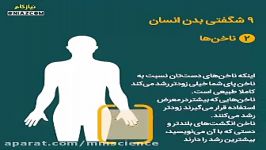 حقایقی جالب درباره بدن انسان