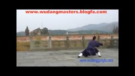 کونگ فوی وودانگ WUDANG KUNG FU