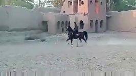 بهترین اسب پرخون وجفت وکت زن خمینی شهر.اصفهان،آتش