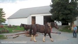 Horse Powered Sweep