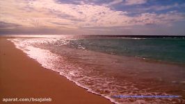 Paradise Beaches DVD  Relax On World Best Beaches With The Sounds Of The Sea