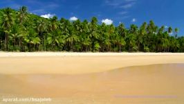 Relaxing Beaches  A Tropical Day At The Beach Now In HD On DVD