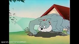 Tom And Jerry English Episodes  The Framed Cat  Cartoons For Kids Tv