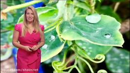 Anna Church  East Midlands Today Weather 26Jul2017