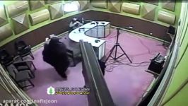 حمله قلبی ناگهانی مجری زن حین اجرای زنده خبر گلستان