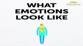 احساسات در بدن ما چه شكلى اند؟
