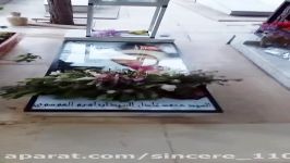 سفرنامه لبنان روز سوم گلزار شهدای دهکده نبی شیت لبنان