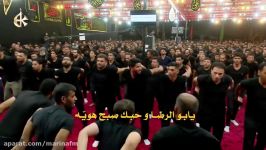 ما نعوفك هیهات  الرادود باسم الكربلائی