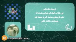 غذای خشک رویال کنین برای سگ بالغ نژاد تریر  لولاک شاپ