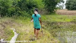 Wow Amazing Smart Little Girl Catch Big Snakes Using Fan Guard Trap  How To Catch Snake With Trap