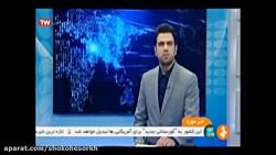 مراسم چهلمین روز روحانی شهید مدافع حرم سیدهادی علوی نسب