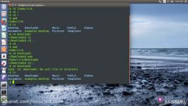 linux shell scripting tutorialBasic Directories Commands