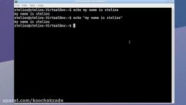 The Echo and Cat Commands Introduction to Bash  a Linux Command Line Tutorial #12