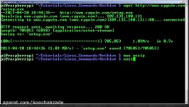 Basics of the Linux Command Line