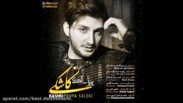 Pouya Saleki  Kashki New 2017 پویا سالکی  کاشکی