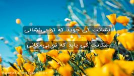 غزل شمارهٔ ۳۱۱۹ دیوان شمس به روایت هانیه سلیمی