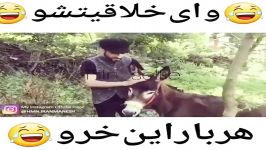 هربار این خرو