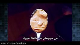 همه چیزهایی شبیه ترامپ هستند