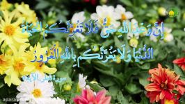 50 ویژگی های «معنای زندگی» 2