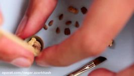 Miniature Walnuts Peanuts Pecan and Almonds Polymer Clay Sculptures