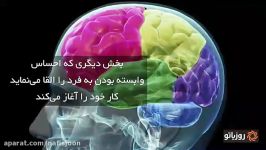 بعد شکست عشقی چه بلایی سر مغز میاد