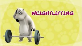 Bernard Bear  120  Weightlifting