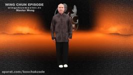 Wing Chun wing chun kung fu Basic kick episode 3
