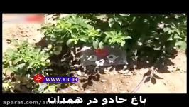 باغ جادو در همدان باغ پرویز ملک زاده