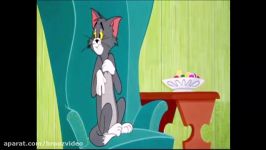 Tom And Jerry English Episodes  Timid Tabby  Cartoons For Kids  Best cartoons