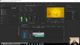 107 یک میکس صدای واقعی برای انیمیشن Adobe premiere  سعید طوفانی