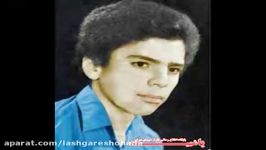 شهیدی مادرش را شفا داد