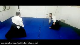 Iran Aikido.Ghaderi sensei Iriminage دفاع شخصی