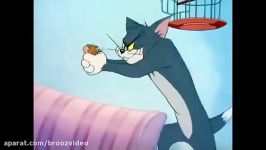 Tom and Jerry  Kitty Foiled