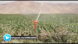 اجرای طرح های نوین آبیاری در اراضی کشاورزی پیرانشهر