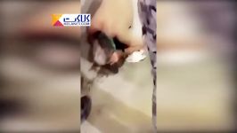 فوت یک حاجی لباس احرام در حال سجده