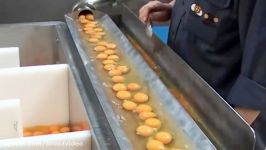 Egg Processing Machine  Amazing Machine Compilation