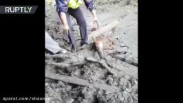 RAW Touching moment baby horse pulled from deadly sludge