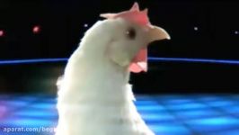 Chicken song   Geco Remix